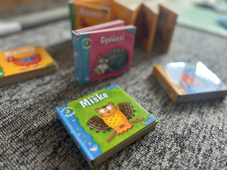 Knygos 📚