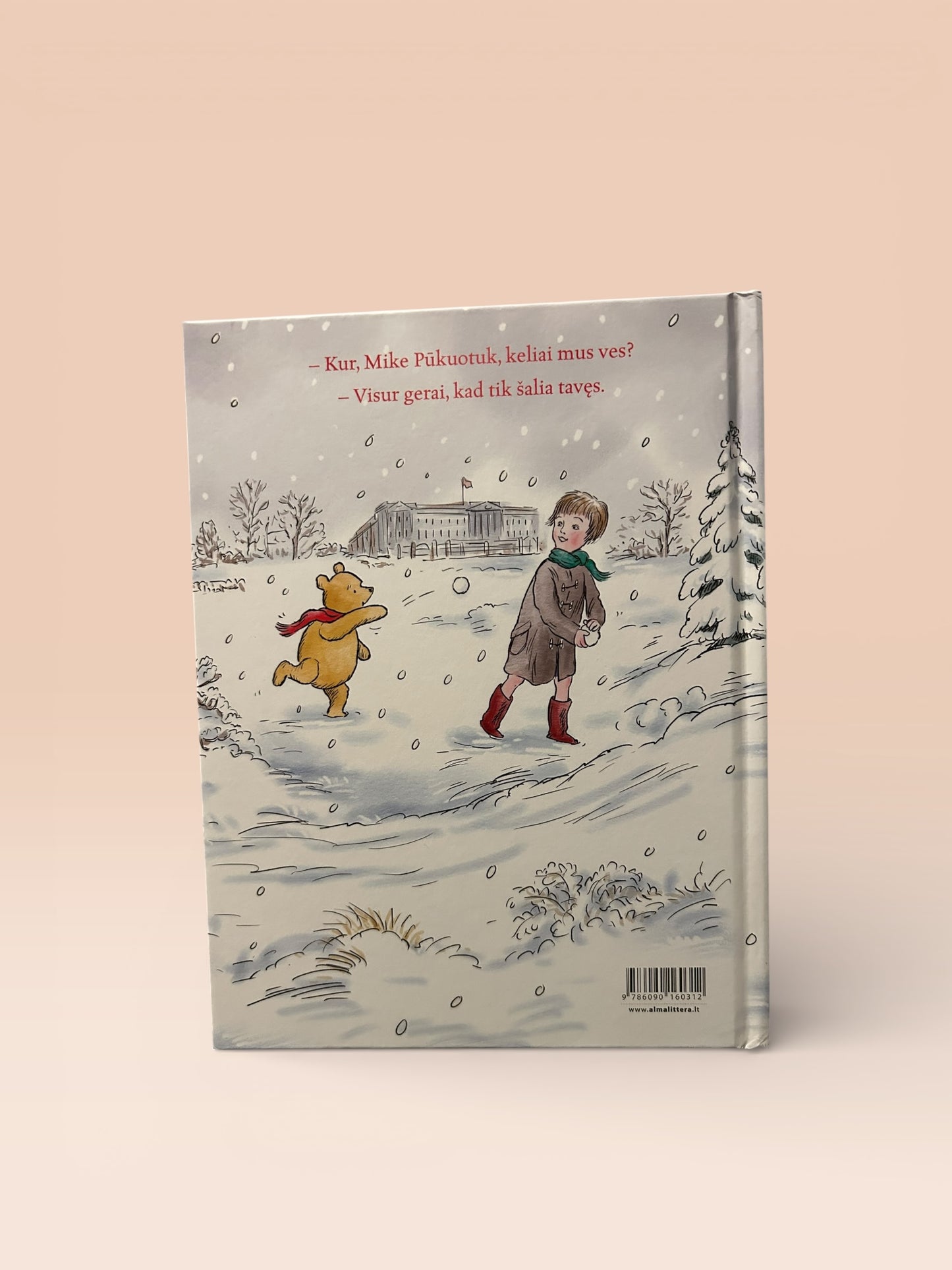 Mikė Pūkuotukas rūmuose